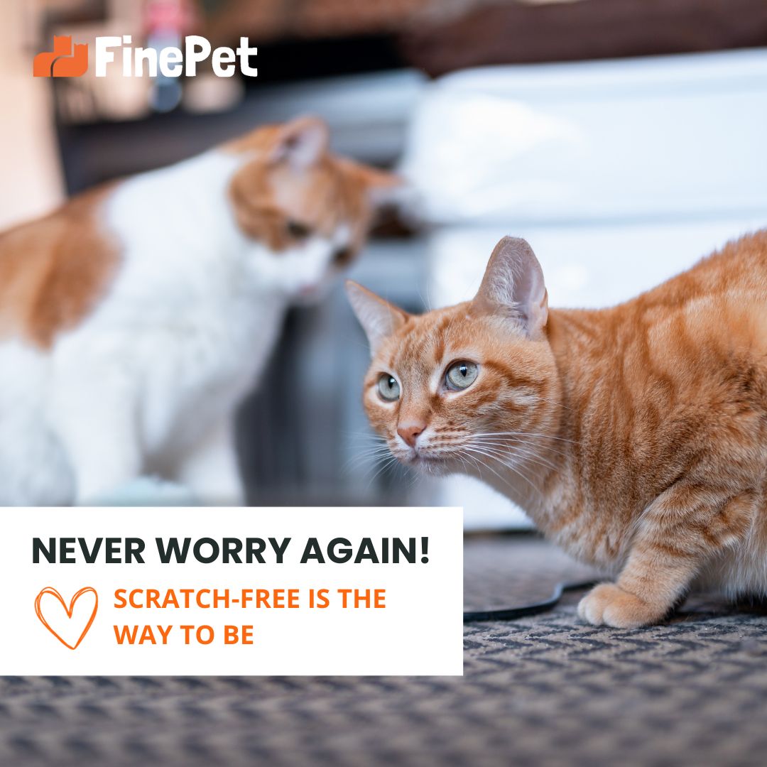 Cat Scratch-Resistant Furniture Protectors with 8-Pack and More Including Twist Pins - Cat Couch Guards - Furniture Protectors from Cat Scratch