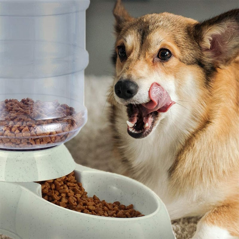 3.8L Gravity Pet Water Dispenser & Automatic Feeder