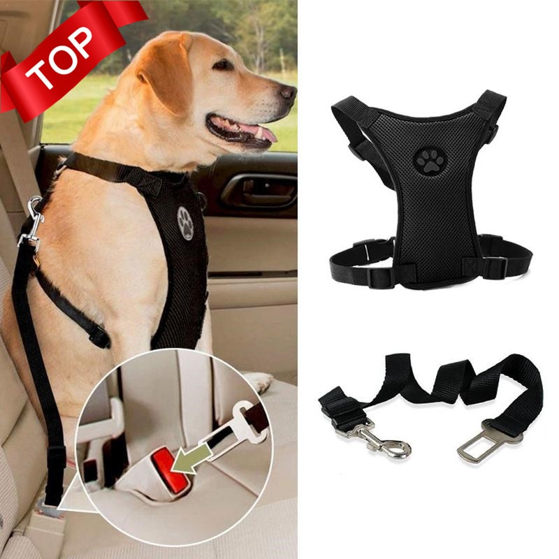 Breathable Dog Harness Leash With Adjustable Safety Seat Belt Straps For Car
