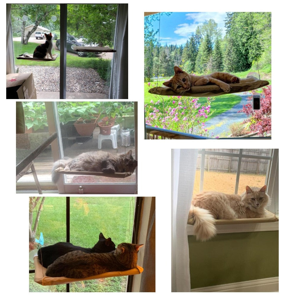 Cat Window Hammock Mount Hanging Bed for 20kg
