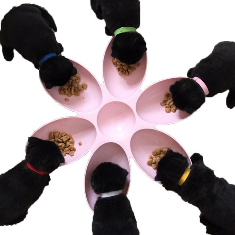6 in 1 Petal Shape Bowl for Water or Food For Pet