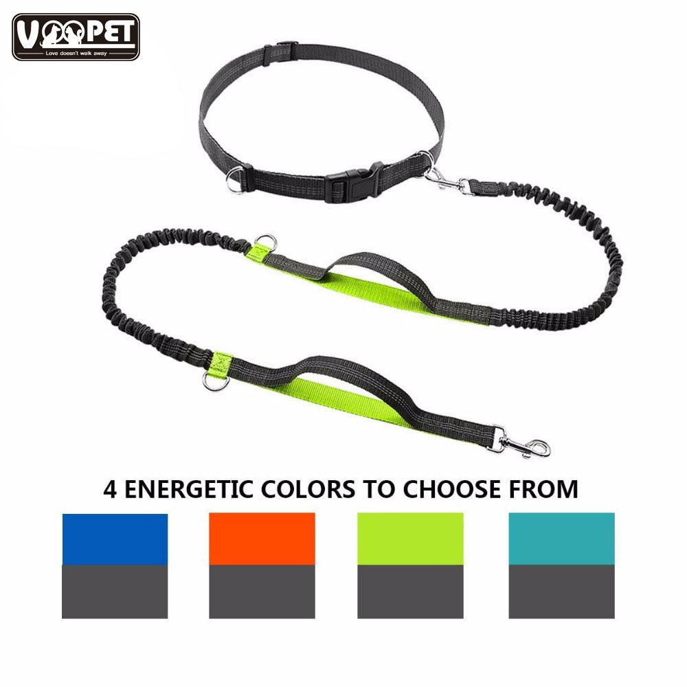 Waist Belt / Hands Free Dog Leash For Dual Handles Reflective Strip