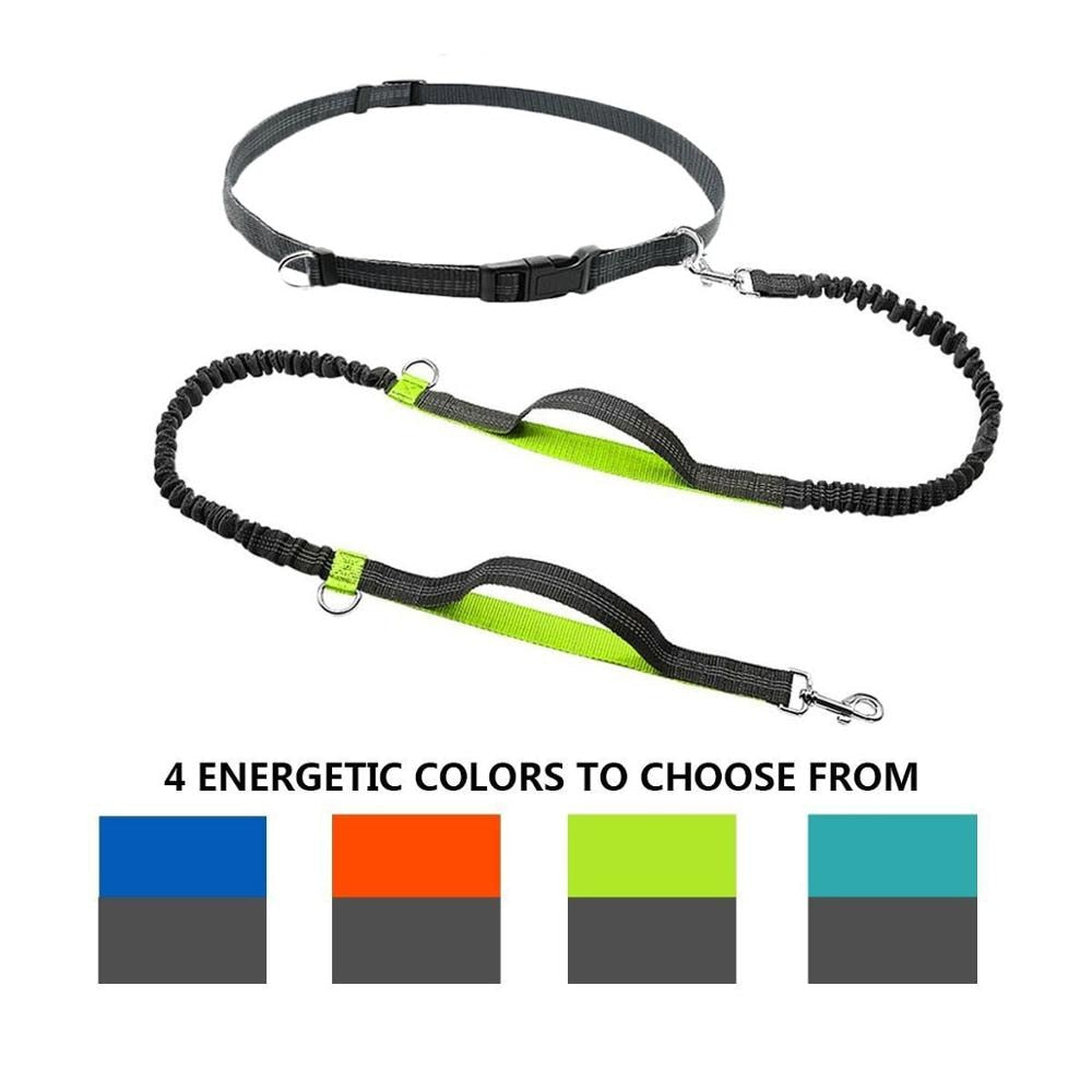 Waist Belt / Hands Free Dog Leash For Dual Handles Reflective Strip