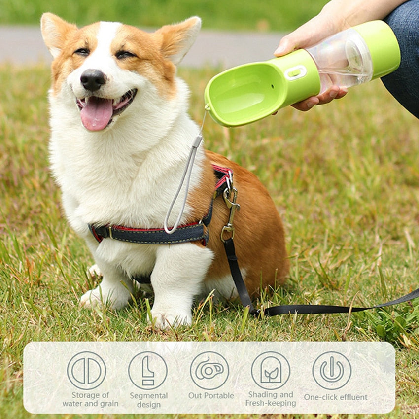 Portable Drinking Water Bottle / Pet Feeder
