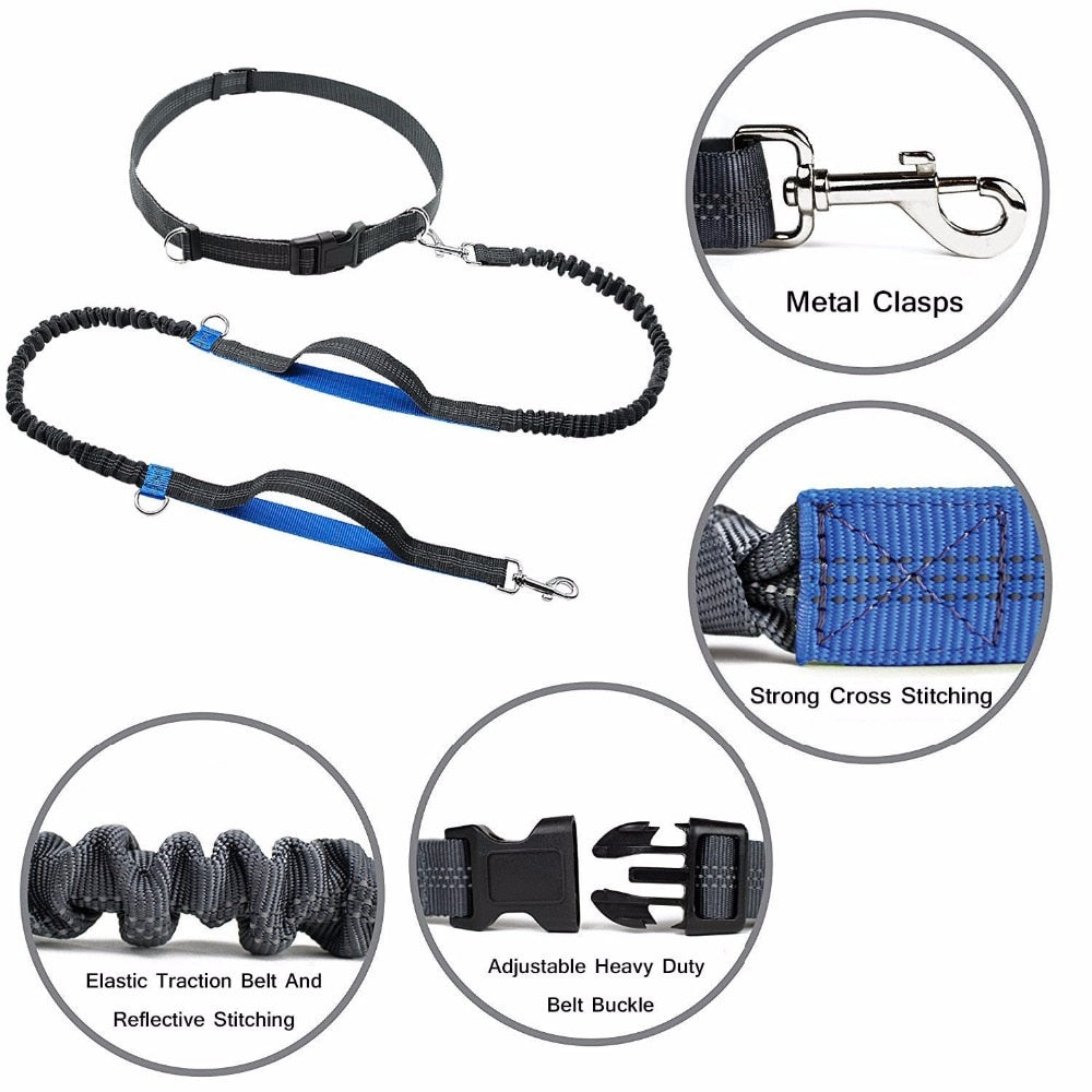 Waist Belt / Hands Free Dog Leash For Dual Handles Reflective Strip