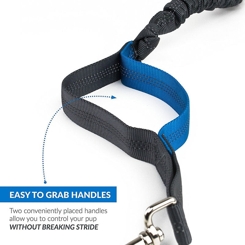 Waist Belt / Hands Free Dog Leash For Dual Handles Reflective Strip