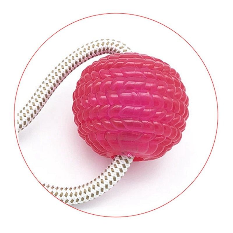 Pet Interactive TPR Ball Toy For Tooth Chewing with Elastic Rope