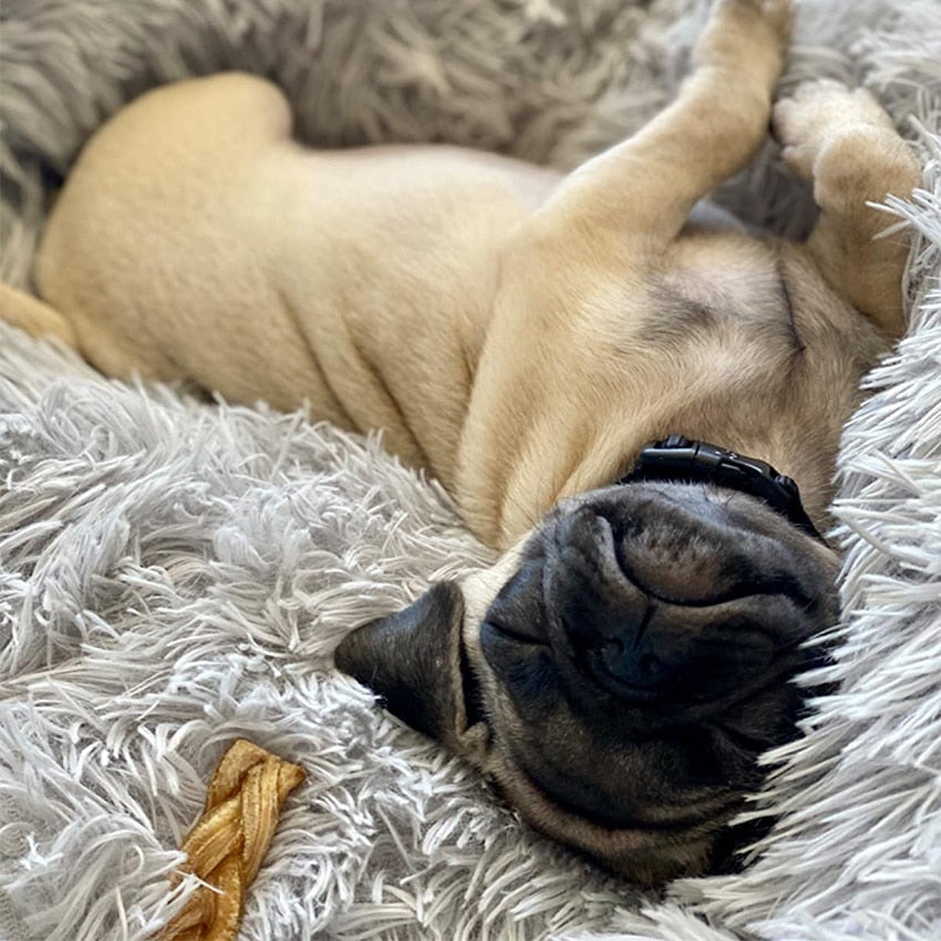 Warm & Soft Round Cushion Sofa Bed For Dog or Cat