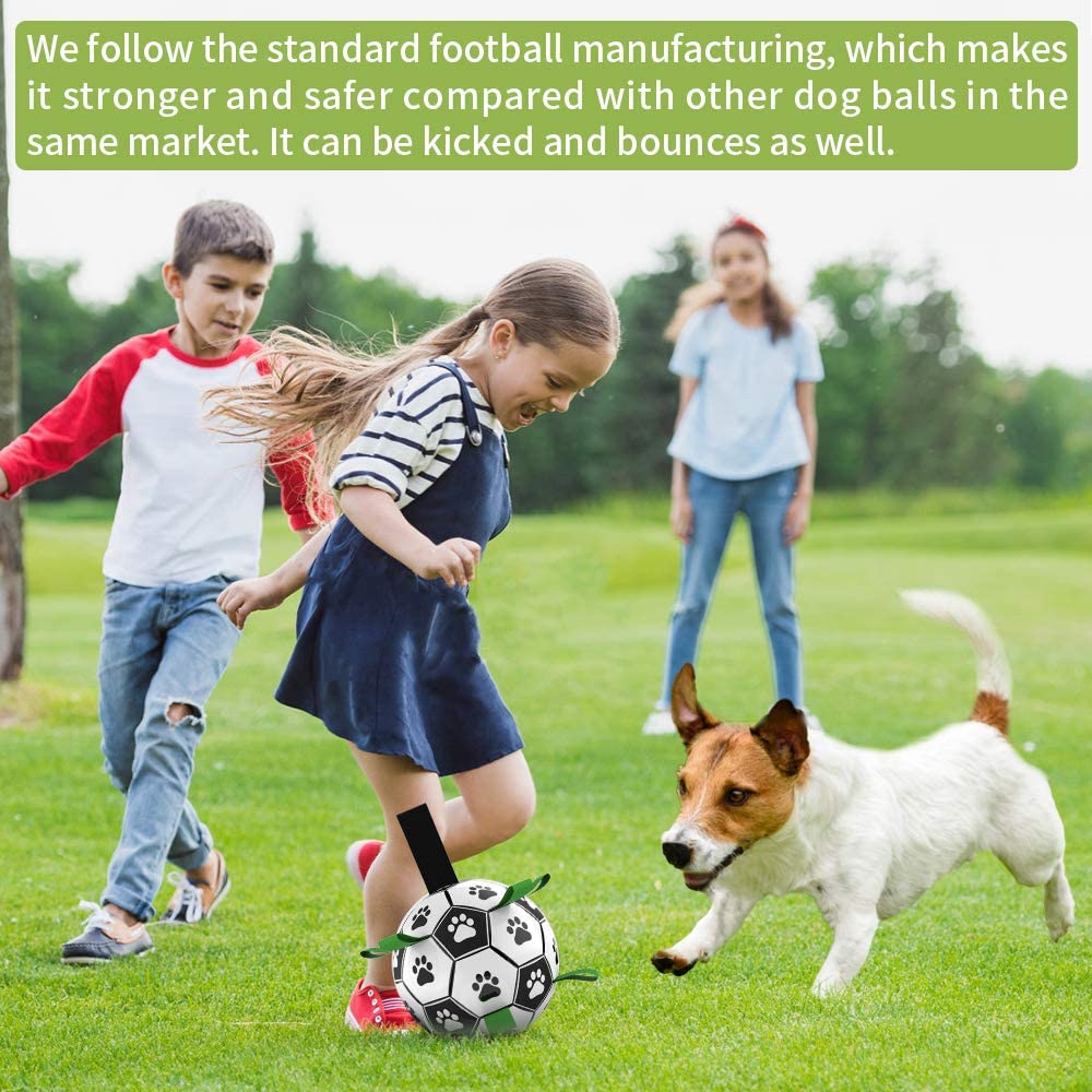 Soccer And Inflator Football Toy For Dogs To Play & Bite/Chew