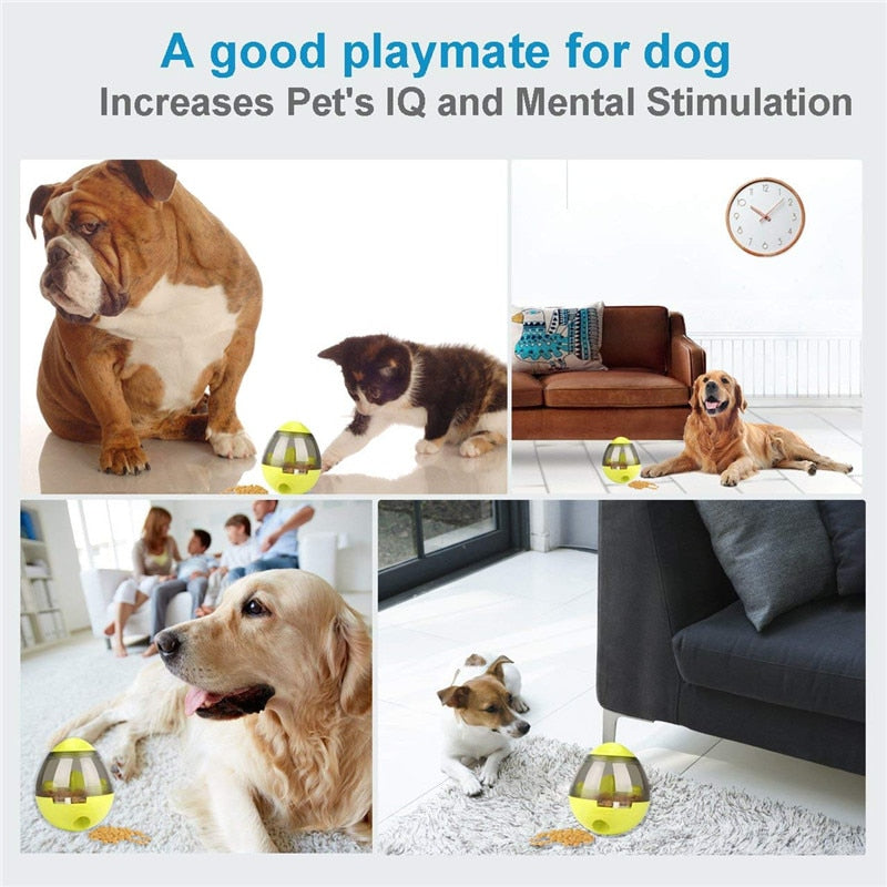 Interactive Pet Food Dispenser / IQ Treat Ball Toy For Playing