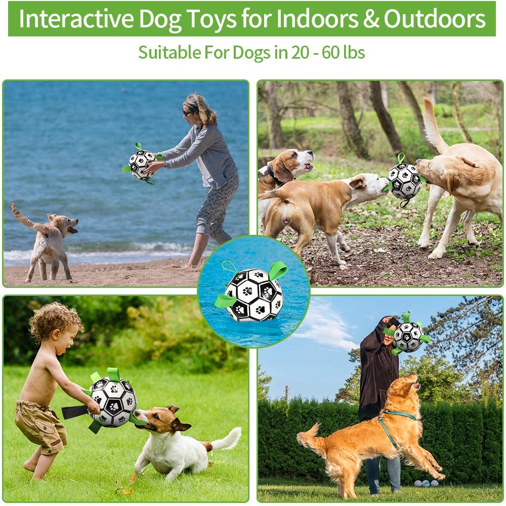 Soccer And Inflator Football Toy For Dogs To Play & Bite/Chew