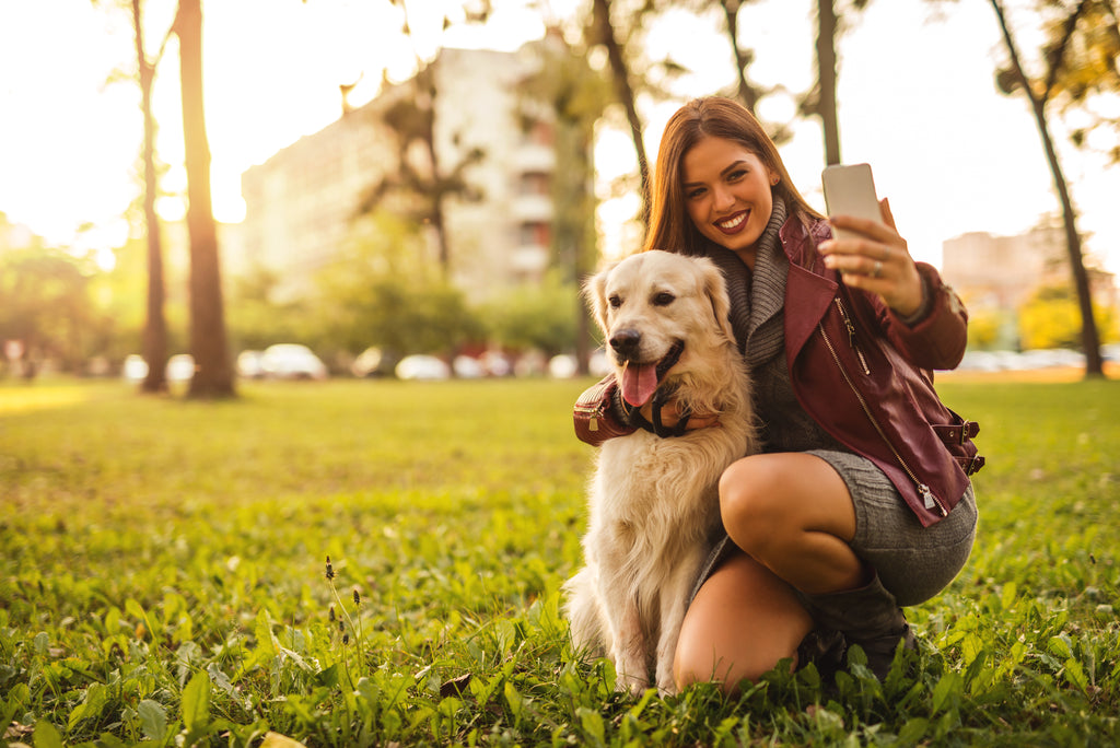 Great Ideas To Take Amazing Selfies With Your Pets