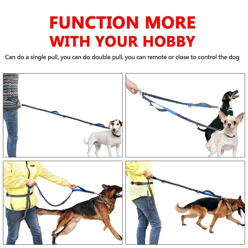 Waist Belt / Hands Free Dog Leash For Dual Handles Reflective Strip